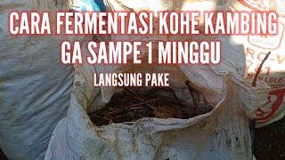 Cara Fermentasi Kohe Kambing ga Sampe Seminggu