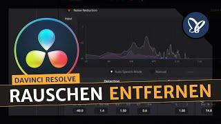 DaVinci Resolve-Tutorial: Rauschen entfernen