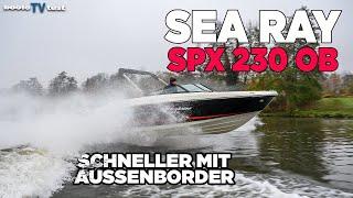 Schneller mit Außenborder - SEA RAY 230 OB im Test