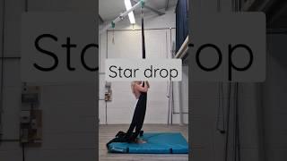 Aerial silks star drop #aerialsilkstricks #aerialsilks #aerial #shorts