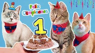 FIESTA DEL CUMPLEAÑOS #1 DE LOS 3 GATITOS! | Pastel y Juguetes Caseros!