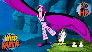 Avivas First Peregrin Falcon Transformation | Wild Kratts