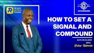 ROYALQ: HOW TO SET SIGNALS AVOID FLOATING AND COMPOUND