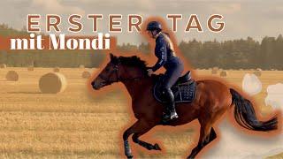 Vollgas am ersten Tag mit Mondi!