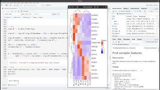 Make a simple heatmap of differentially expressed genes in R