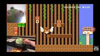 Minion Pig 2 Plays - Super Mario Maker