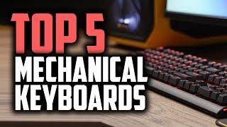 Best Budget Mechanical Keyboards in 2018 - Gaming On A Budget