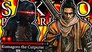 NEW SEKIRO BOSSES ARE AMAZING - Sekiro Resurrection: Rage Montage 2