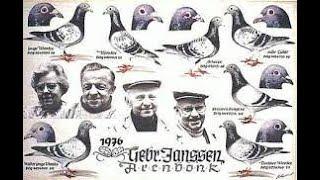 Racing Pigeon History - The Janssen Brothers