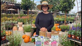 Plant Bulbs in Fall for Your Spring Garden with Sarah Smith