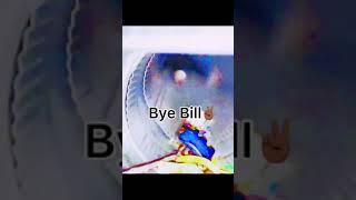 Bill comeback!