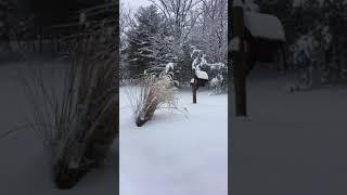 Can you get down this snowy driveway?