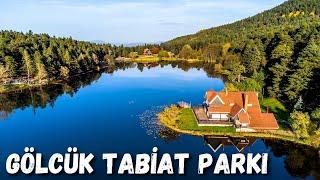 Bolu Gölcük Tabiat Parkı - Günbatımı Harika Gölcük Manzarası - Gölcük Dron - Bolu Gezilecek Yerler