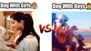 Dog with girls Vs Dog with boys  | memes | @Versus.. @Ajimwa