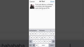 Alt Text on Instagram