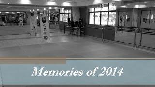 Aikido Tai Shin Kai (Singapore) - Memories of 2014