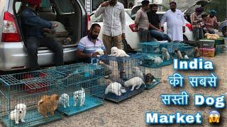 India की सबसे सस्ती Dog Market  ₹2000only ‍ part,2 #dog #puppy