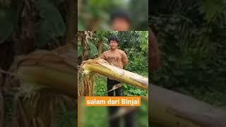 Salam dari Binjai #salamdaribinjai #salamdaribinjay #tiktokvideo