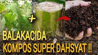 BALAKACIDA ⁉️ KOMPOS SUPER NITROGEN PLUS UNTUK #pupukorganik #pupukorganikcair #pupukpembenahtanah