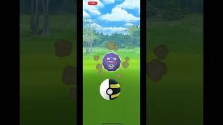 #koffing #2023 #shortsbeta #pokemon #shortsfeed #pokémongo #pokemonshorts #games #shortvideo #fyp