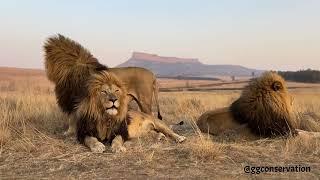 Sitting on my bro’s head 