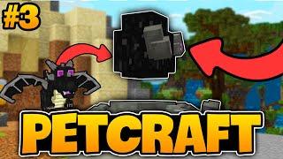 EJDERHA YUMURTASI BULDUK! | Minecraft PetCraft | #3