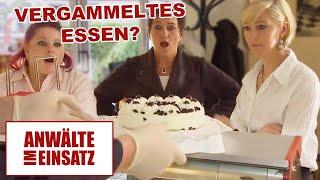 Vergammeltes Essen! Muss Mia ihr Café für immer schließen? |1/2| Anwälte im Einsatz | SAT.1