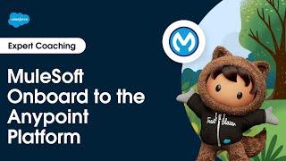 MuleSoft: Onboard to the Anypoint Platform | Expert Coaching
