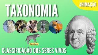 TAXONOMIA | CLASSIFICAÇÃO DOS SERES VIVOS | Animação