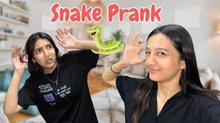 I pranked my sister for 24 hours | Rabia Faisal | Sistrology