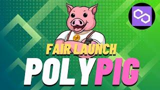 POLYPIG - Launched Today - This Pig Could Fly!