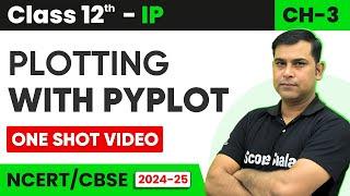 Chapter 3 - Plotting with PyPlot—Full Chapter In One Video | Class 12th Informatic Practices—065