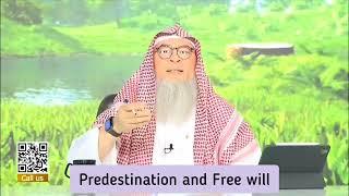 Destiny vs Free Will. If Allah has written down everything what we do then where is our Free Will?