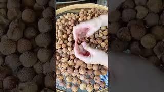 Freshly baked Dried lychee Fully flesh