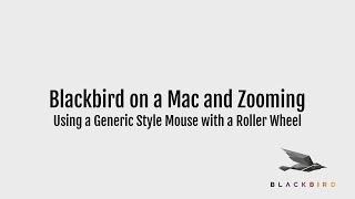 Mouse Zooming on a Mac (The Natural Direction Fix)