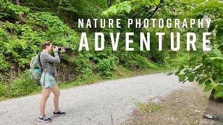 Nature Photography Along the Steamboat Trace Trail with the Nikon Z6