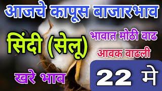 22 मे /आजचे सिंदी सेलू कापसाचे भाव/ भावात वाढ/ sindi cotton market /kapas #cotton