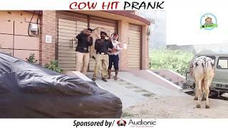 | COW HIT PRANK | By Nadir Ali In | P4 Pakao | 2017