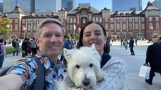 Live from Tokyo Station Yosakoy Odori