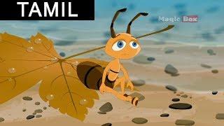 The Ant And The Dove(எறும்பும் புறாவும்) | Aesop's Fables In Tamil For Kids