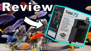 The Filter Your Fish Need? Seachem Tidal 75 Aquarium Filter Review