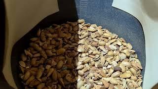 NutTech - Nut color sorter for almonds, pistachios, walnuts and hazelnuts