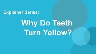 Why Do Teeth Turn Yellow?