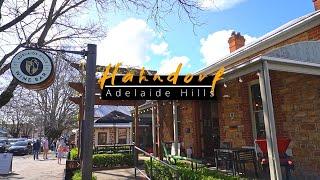 Hahndorf & Adelaide Hills Adventure: Koalas, Culture & Plenty of Food!