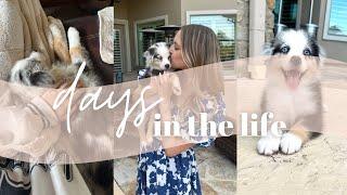 DAYS IN THE LIFE | come get our new puppy with me