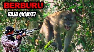 Hunters are increasingly brutal, slaughtering monkeys which is detrimental to farmers//Hunting