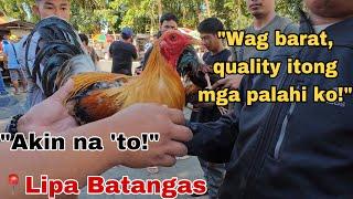 Andaming murang manok ngayon dito sa Lipa Batangas