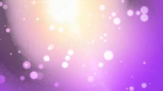 Pink Background Royalty Free Video Loops - Soft & Simple (3in1 Pack)