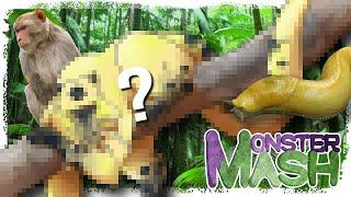 Banana Slug Monkey! | Monster Mash