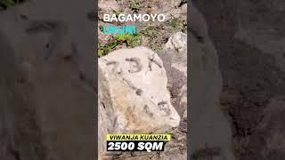 Ukuni Bagamoyo Viwanja Kuanzia 2500Sqm | TZs.28M